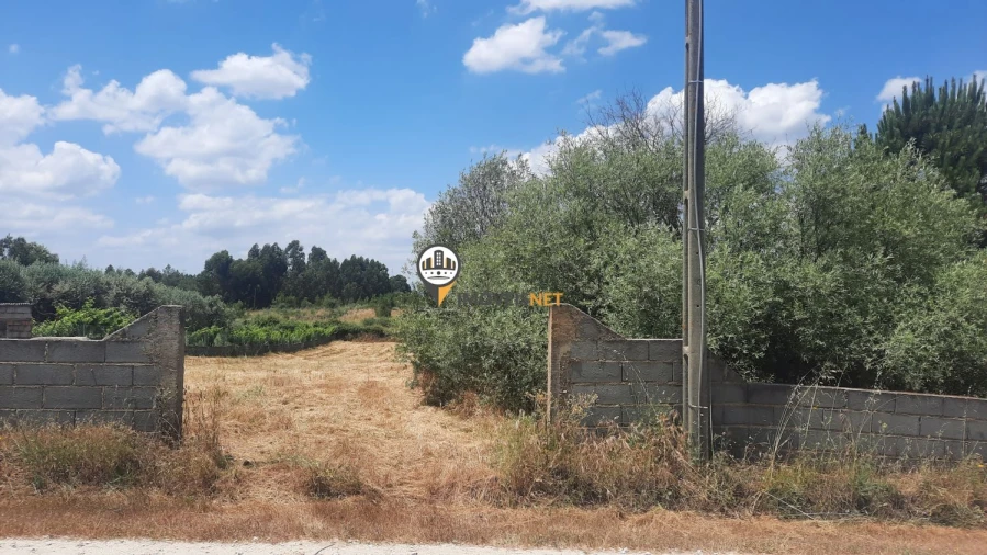 Terreno para Venda em Castelo Branco Foto 7