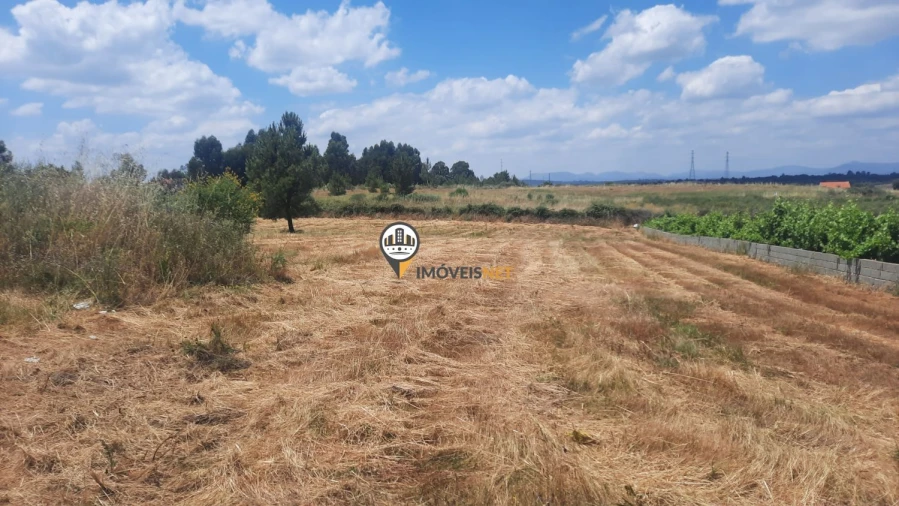 Terreno para Venda em Castelo Branco Foto 4