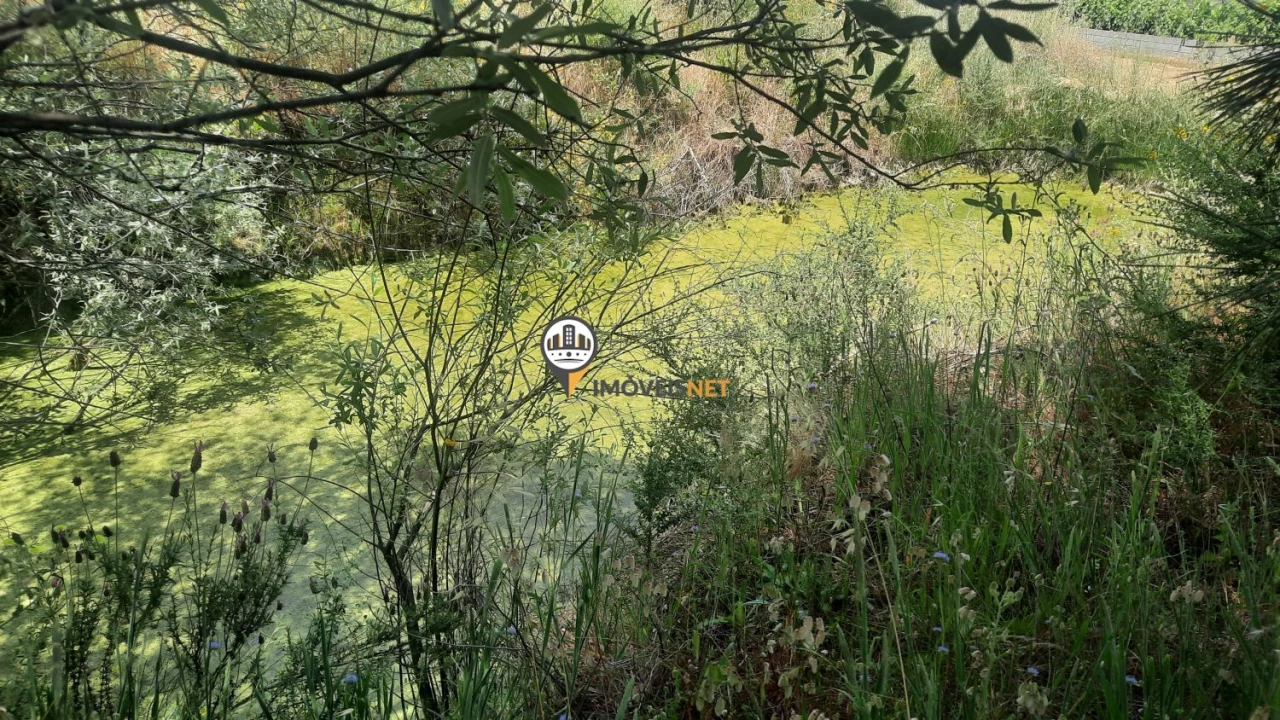 Terreno para Venda em Castelo Branco Foto 3