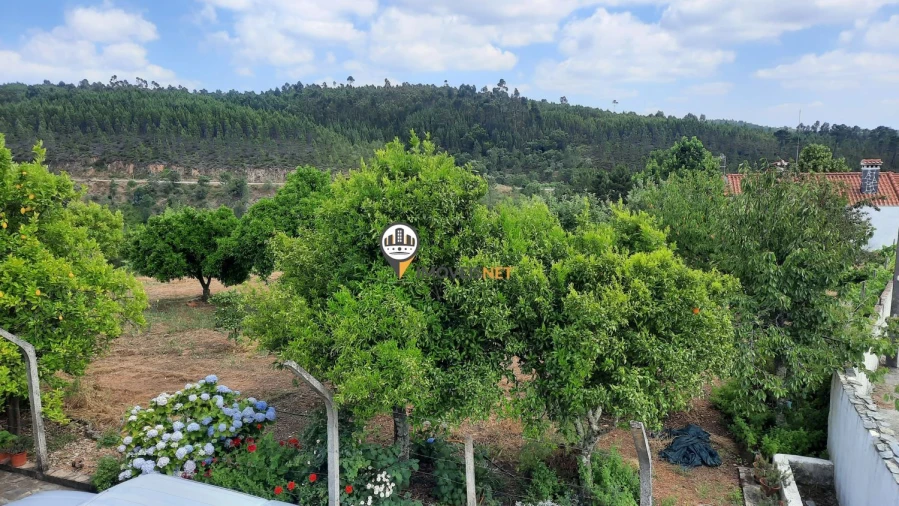 Moradia T7 para Venda em Proença-A-Nova e Peral Foto 49