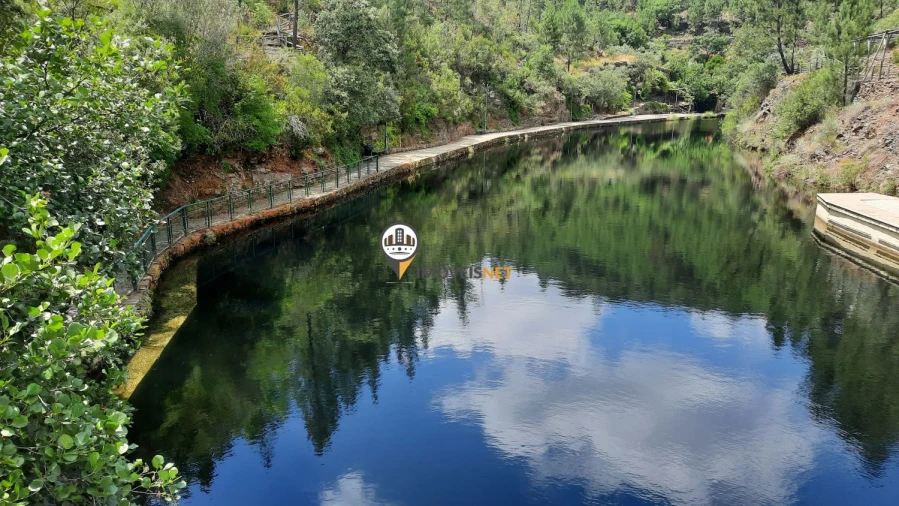 Moradia T7 para Venda em Proença-A-Nova e Peral Foto 2