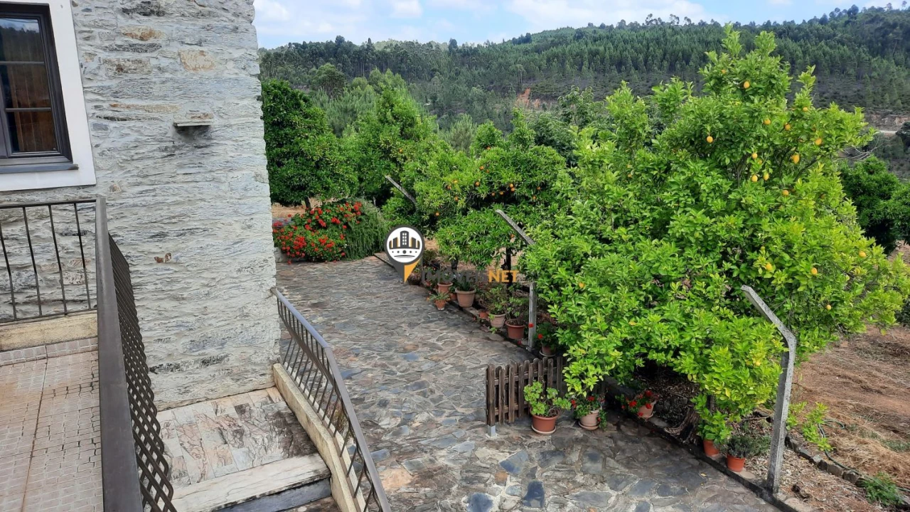 Moradia T7 para Venda em Proença-A-Nova e Peral Foto 50