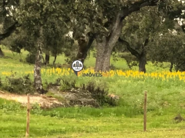 Terreno para Venda em Alcains