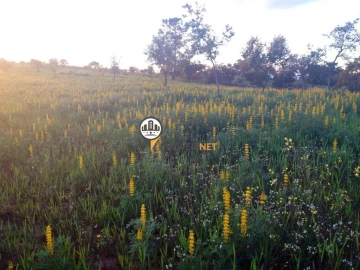 Terreno para Venda em Alcains