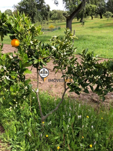 Terreno para Venda em Alcains