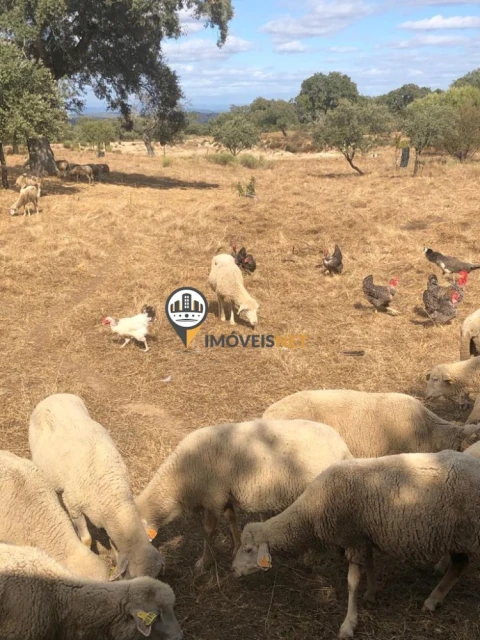Terreno para Venda em Alcains