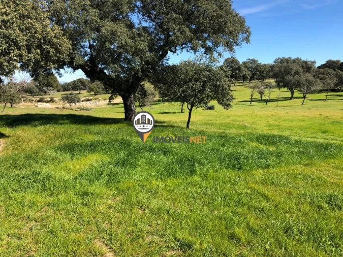 Terreno para Venda em Alcains Foto 23