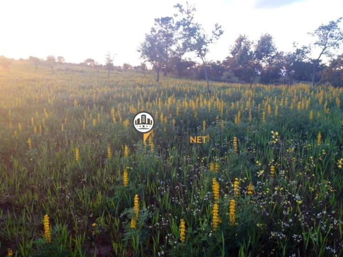 Terreno para Venda em Alcains Foto 3