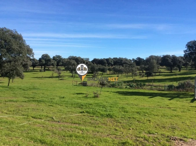 Terreno para Venda em Alcains Foto 14