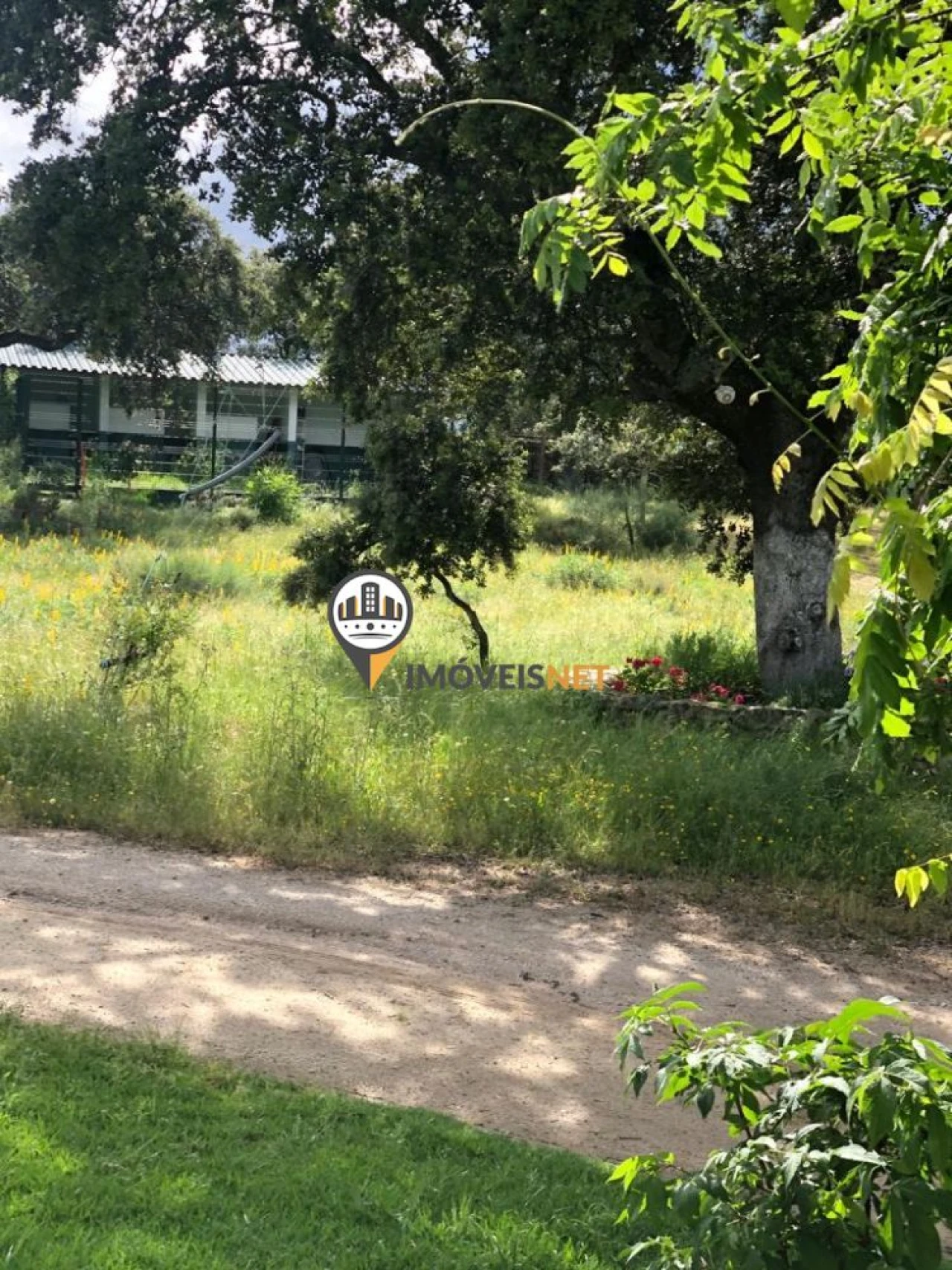 Terreno para Venda em Alcains Foto 7