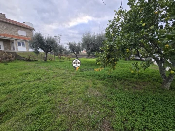 Moradia T4 para Venda em Castelo Branco
