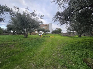 Moradia T4 para Venda em Castelo Branco