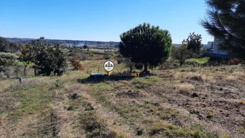 Terreno para Venda em Castelo Branco