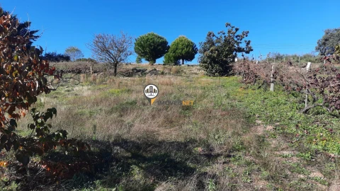 Terreno para Venda em Castelo Branco