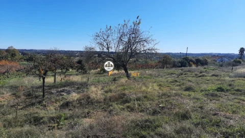 Terreno para Venda em Castelo Branco