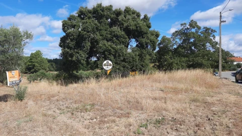 Terreno para Venda em Castelo Branco
