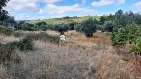 Terreno para Venda em Castelo Branco
