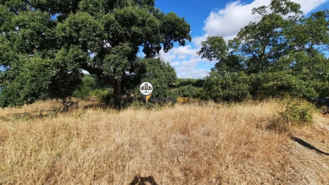 Terreno para Venda em Castelo Branco