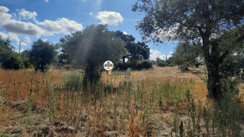 Terreno para Venda em Castelo Branco