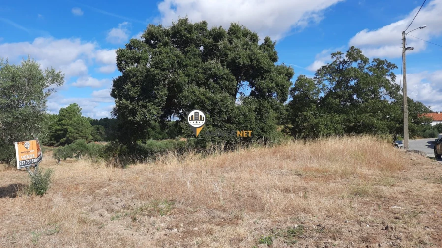Terreno para Venda em Castelo Branco Foto 3