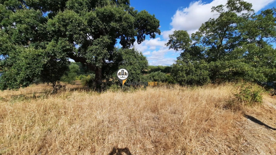 Terreno para Venda em Castelo Branco Foto 4