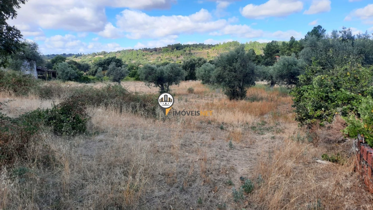 Terreno para Venda em Castelo Branco Foto 5