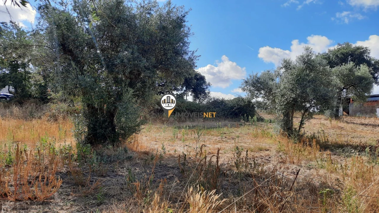 Terreno para Venda em Castelo Branco Foto 8