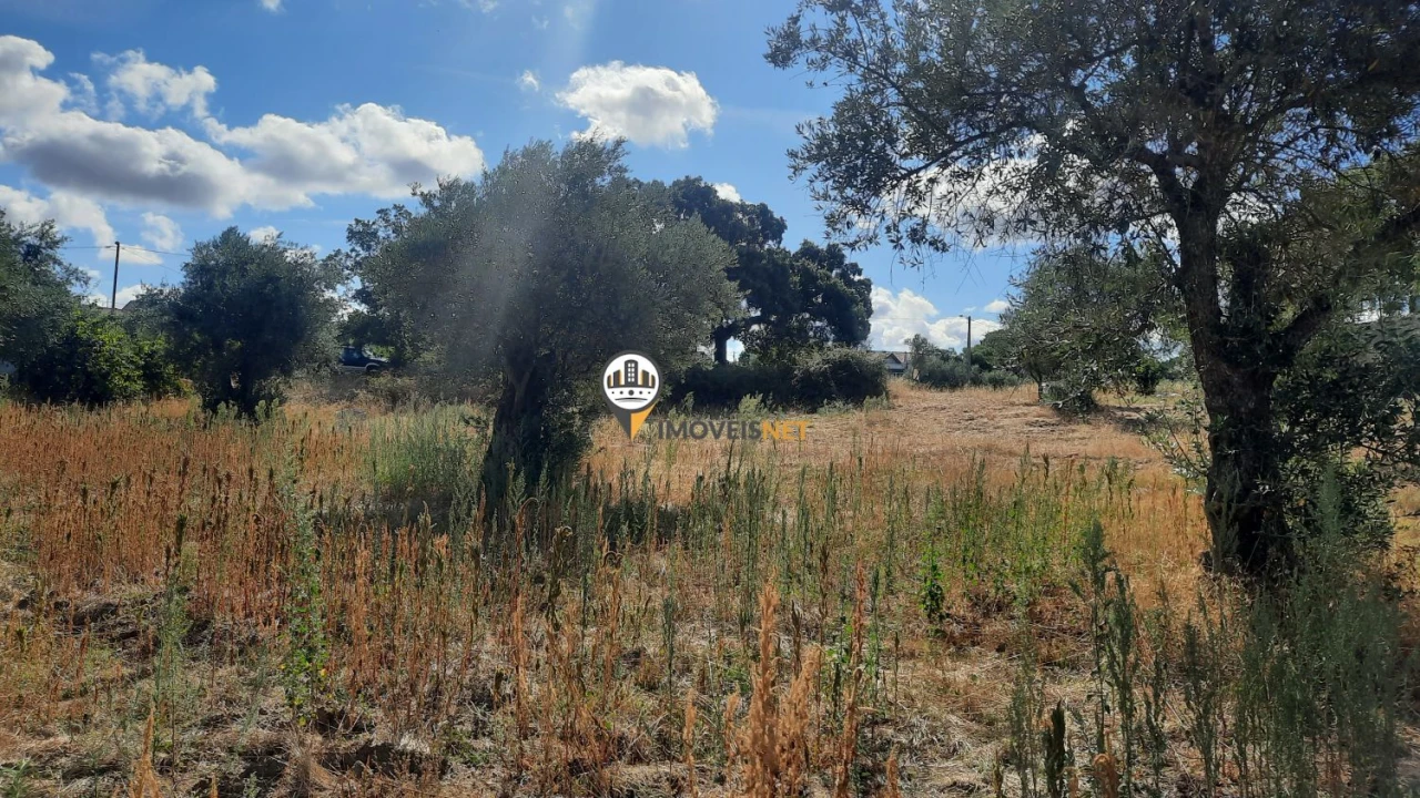 Terreno para Venda em Castelo Branco Foto 9