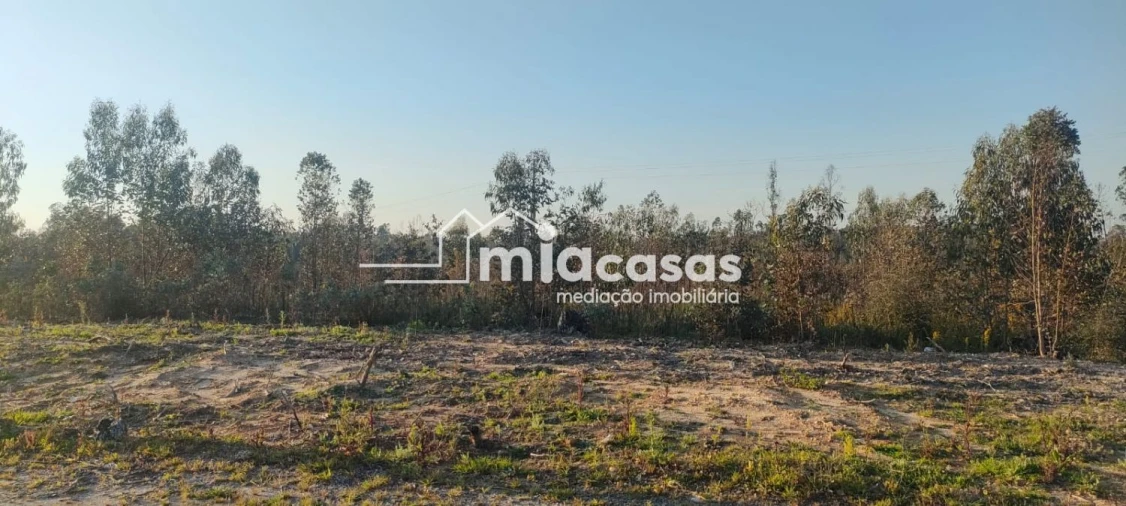 Terreno para Venda em Vilarinho do Bairro Foto 9