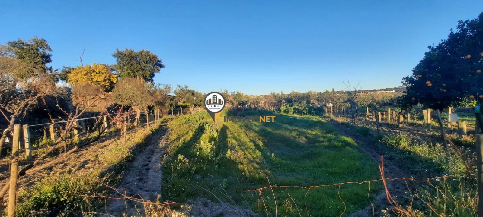 Terreno para Venda em Escalos de Baixo e Mata Foto 24