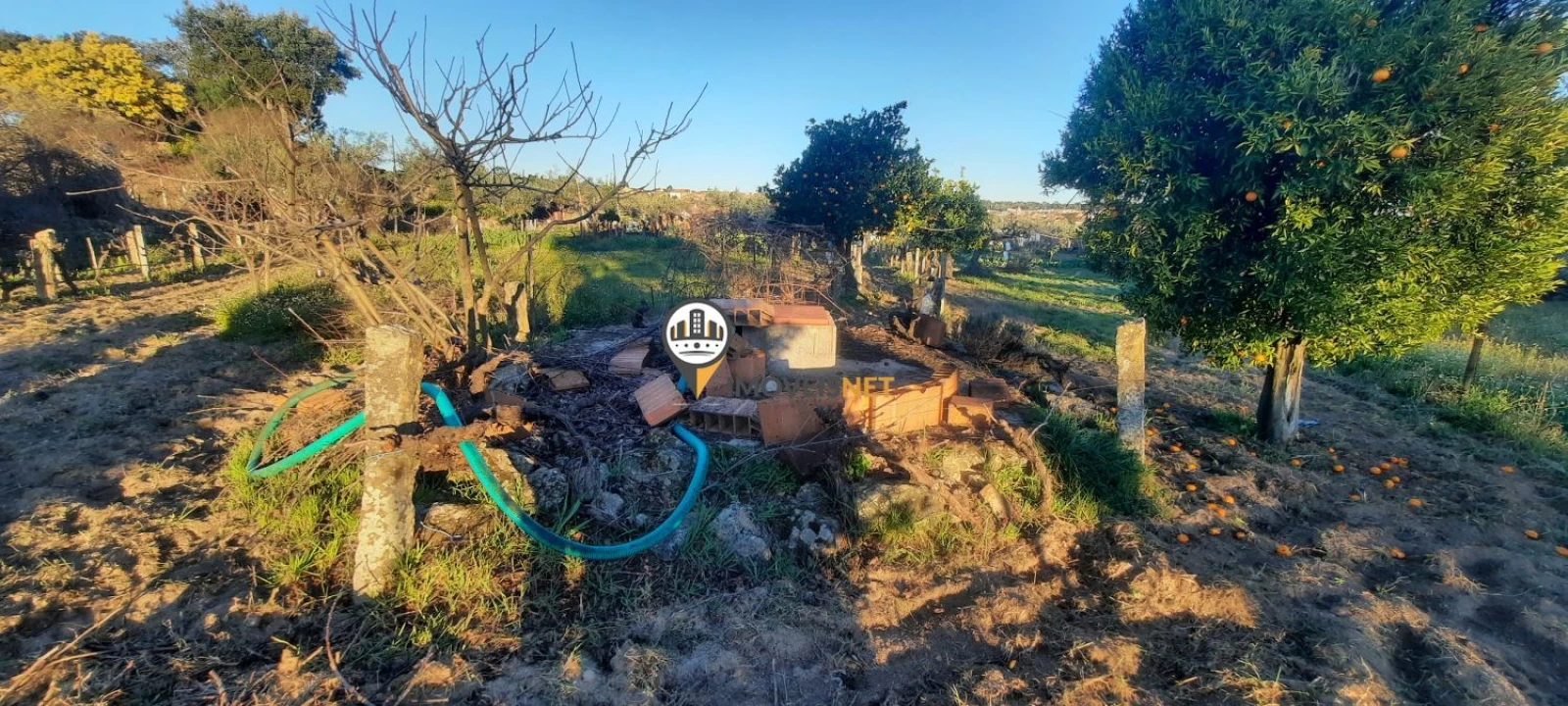 Terreno para Venda em Escalos de Baixo e Mata Foto 23