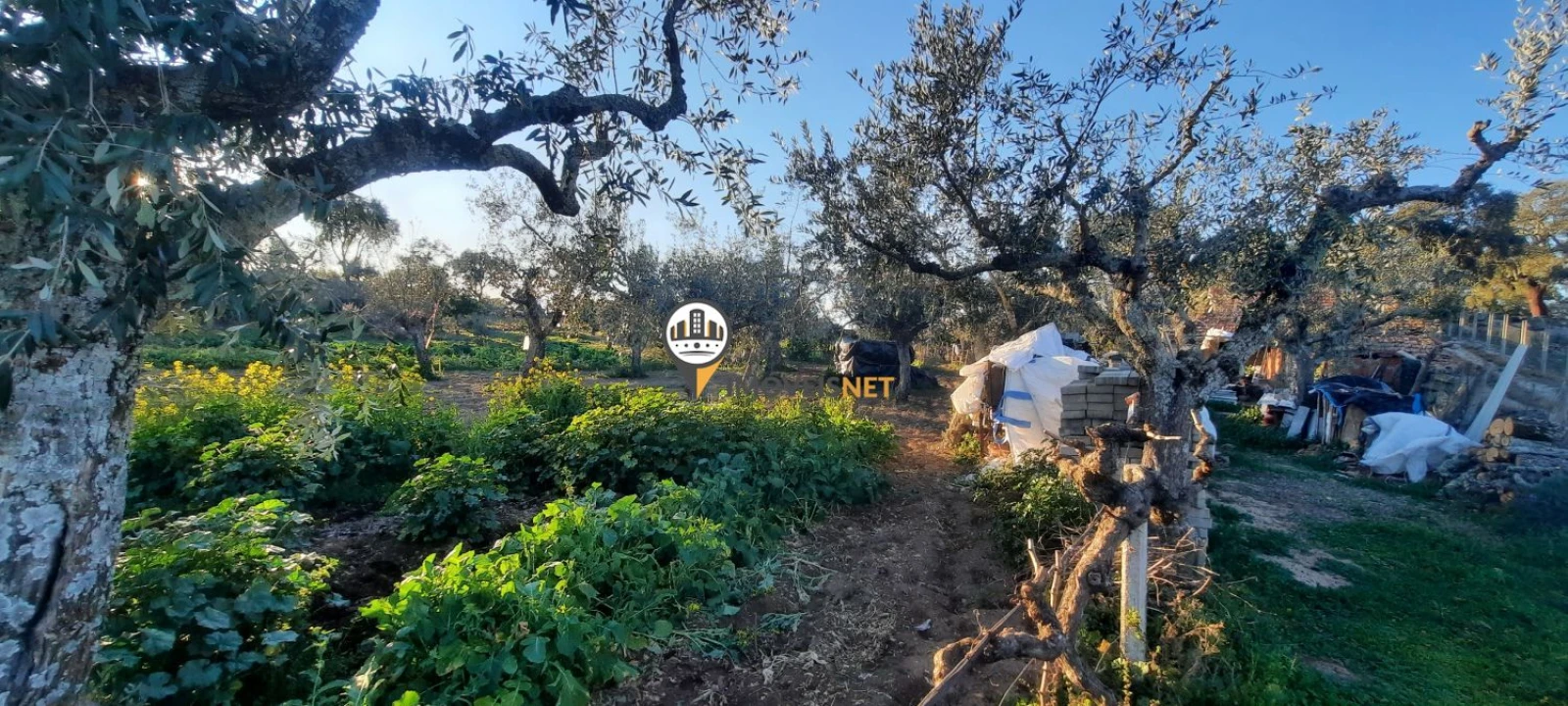 Terreno para Venda em Escalos de Baixo e Mata Foto 6