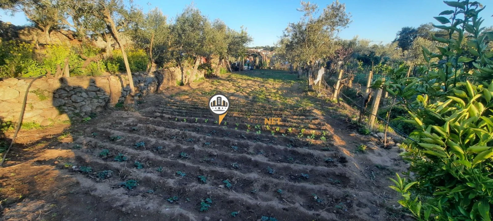 Terreno para Venda em Escalos de Baixo e Mata Foto 27