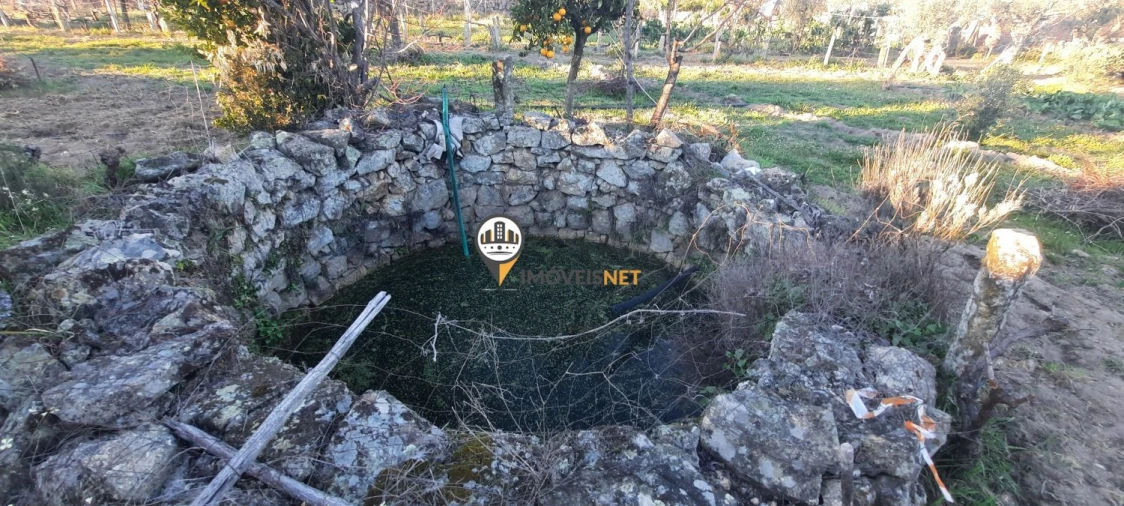 Terreno para Venda em Escalos de Baixo e Mata Foto 10