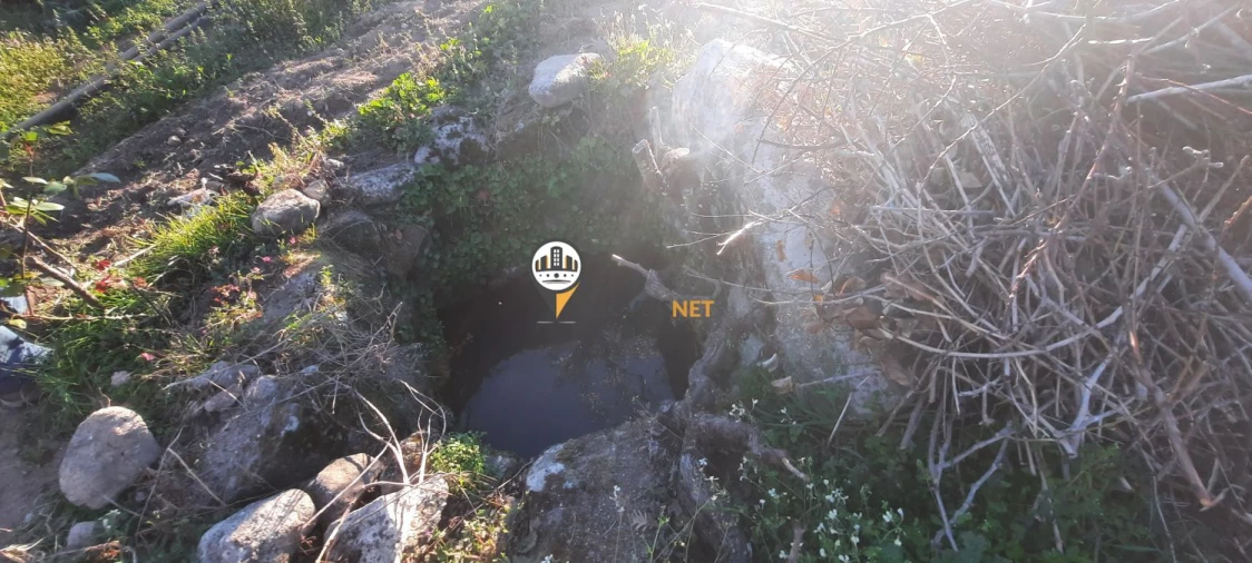 Terreno para Venda em Escalos de Baixo e Mata Foto 7