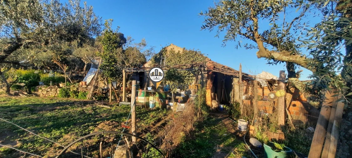 Terreno para Venda em Escalos de Baixo e Mata Foto 11
