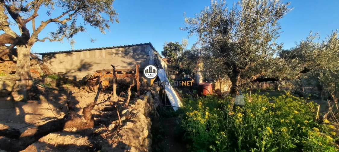 Terreno para Venda em Escalos de Baixo e Mata Foto 32