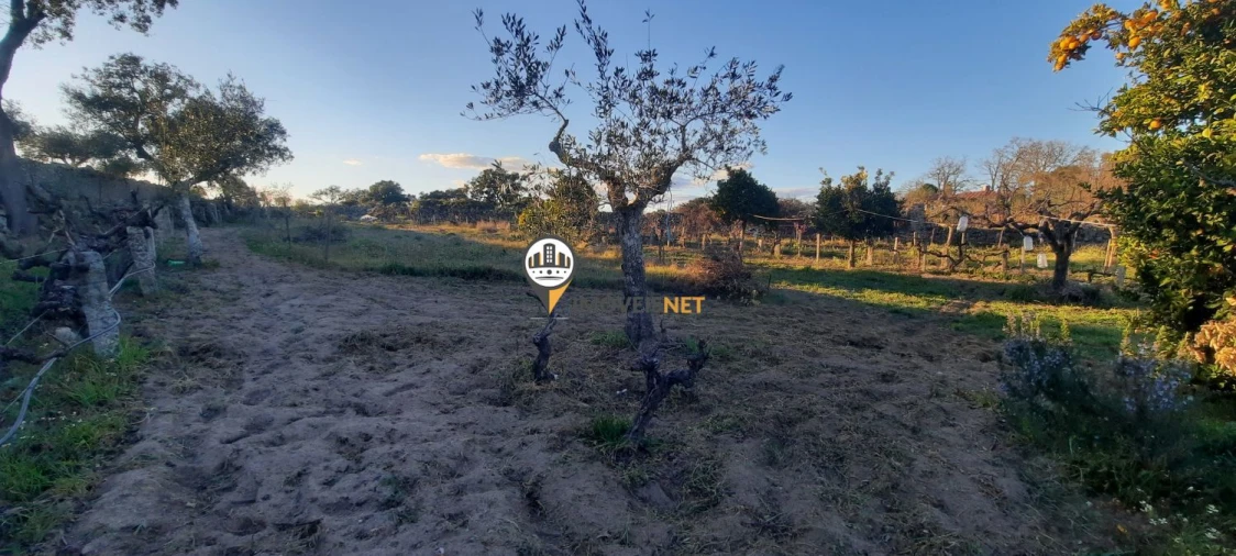 Terreno para Venda em Escalos de Baixo e Mata Foto 15