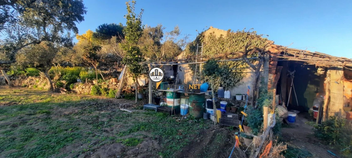 Terreno para Venda em Escalos de Baixo e Mata Foto 33