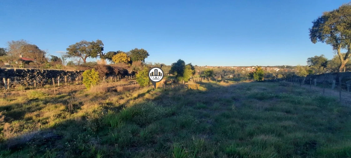 Terreno para Venda em Escalos de Baixo e Mata Foto 19