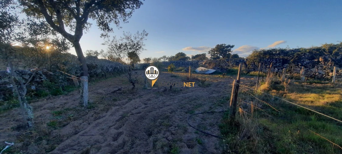 Terreno para Venda em Escalos de Baixo e Mata Foto 20