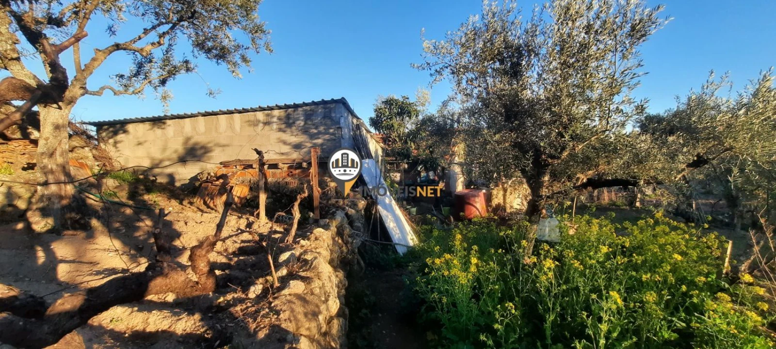 Terreno para Venda em Escalos de Baixo e Mata Foto 32
