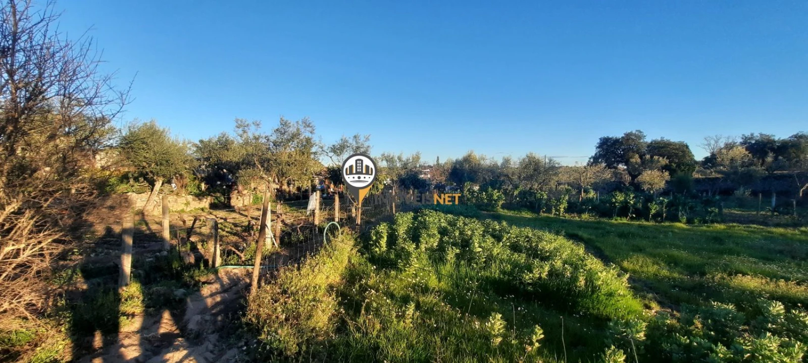 Terreno para Venda em Escalos de Baixo e Mata Foto 25