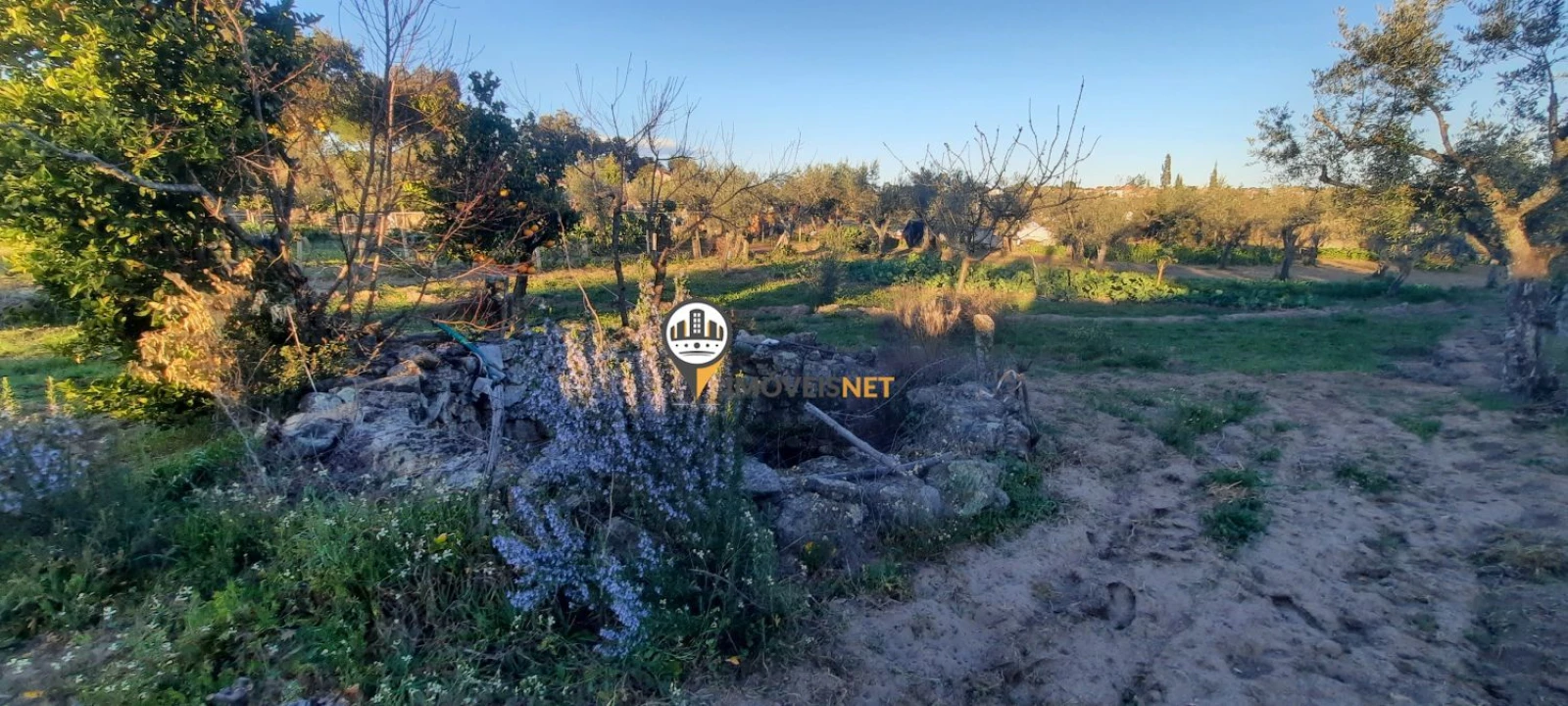 Terreno para Venda em Escalos de Baixo e Mata Foto 16