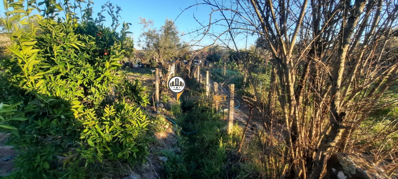 Terreno para Venda em Escalos de Baixo e Mata Foto 26