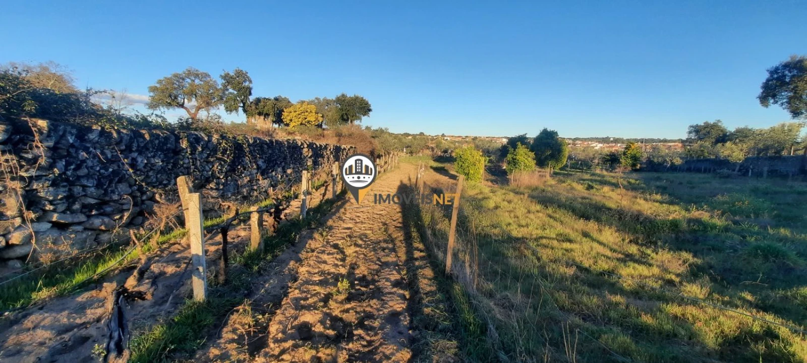 Terreno para Venda em Escalos de Baixo e Mata Foto 22