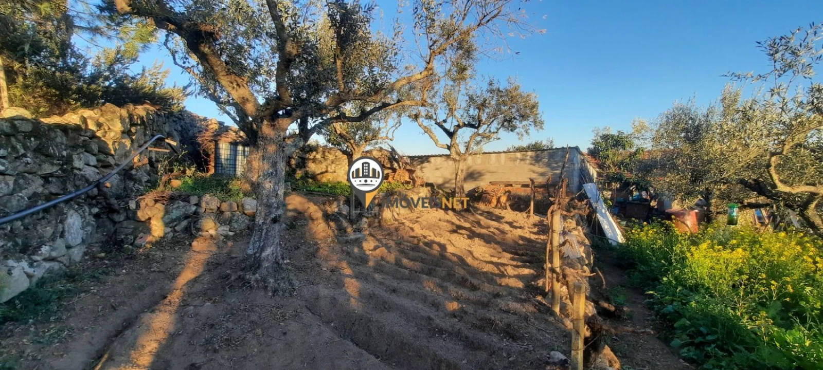 Terreno para Venda em Escalos de Baixo e Mata Foto 31