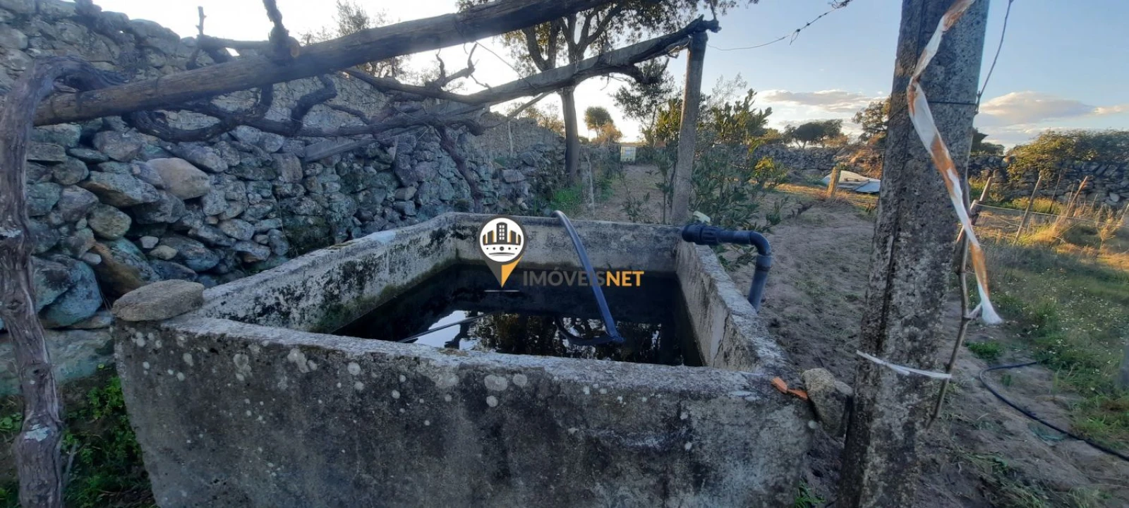 Terreno para Venda em Escalos de Baixo e Mata Foto 18