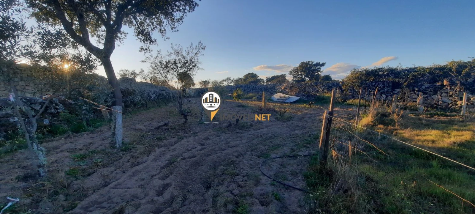 Terreno para Venda em Escalos de Baixo e Mata Foto 20
