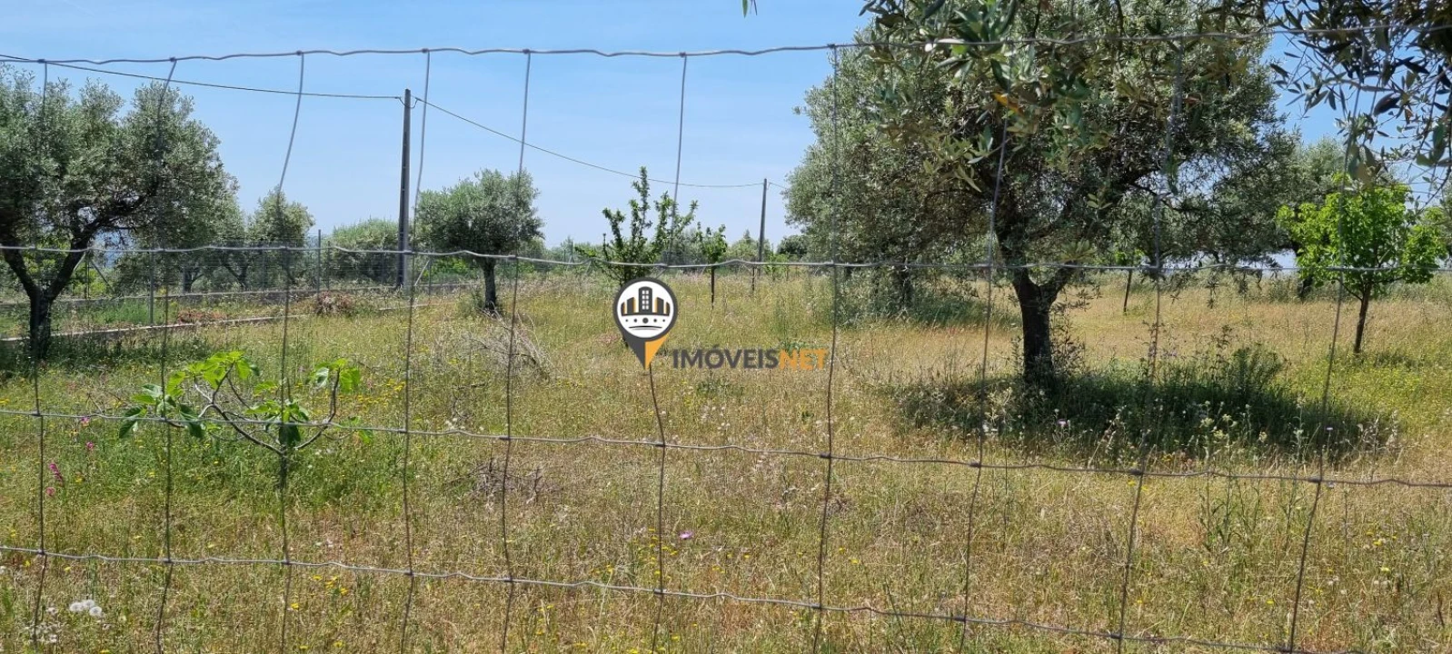 Terreno para Venda em Castelo Branco Foto 10